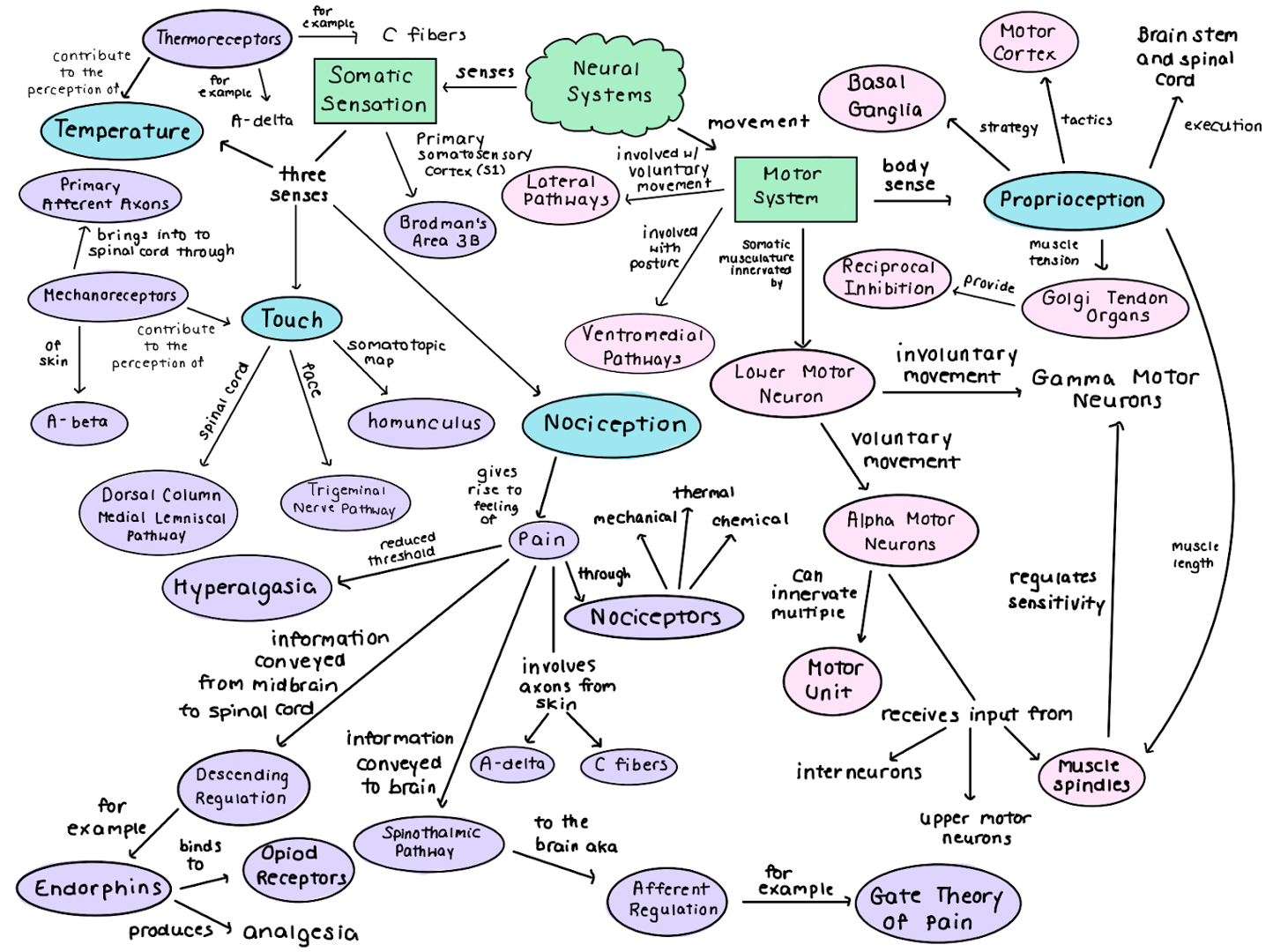 Example concept map showing main topic, subtopics, and key terms interconnected with arrows