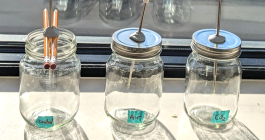 Three labeled glass jars on a windowsill, each with a digital thermometer displaying a reading. The labels read 'Control,' 'Air,' and 'CO2' respectively.