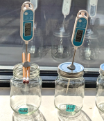 Three labeled glass jars on a windowsill, each with a digital thermometer displaying a reading. The labels read 'Control,' 'Air,' and 'CO2' respectively.